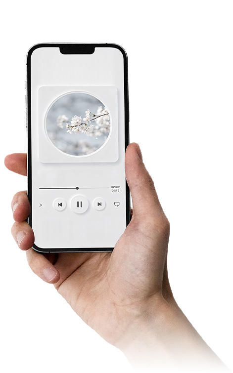 Wireless Speaker